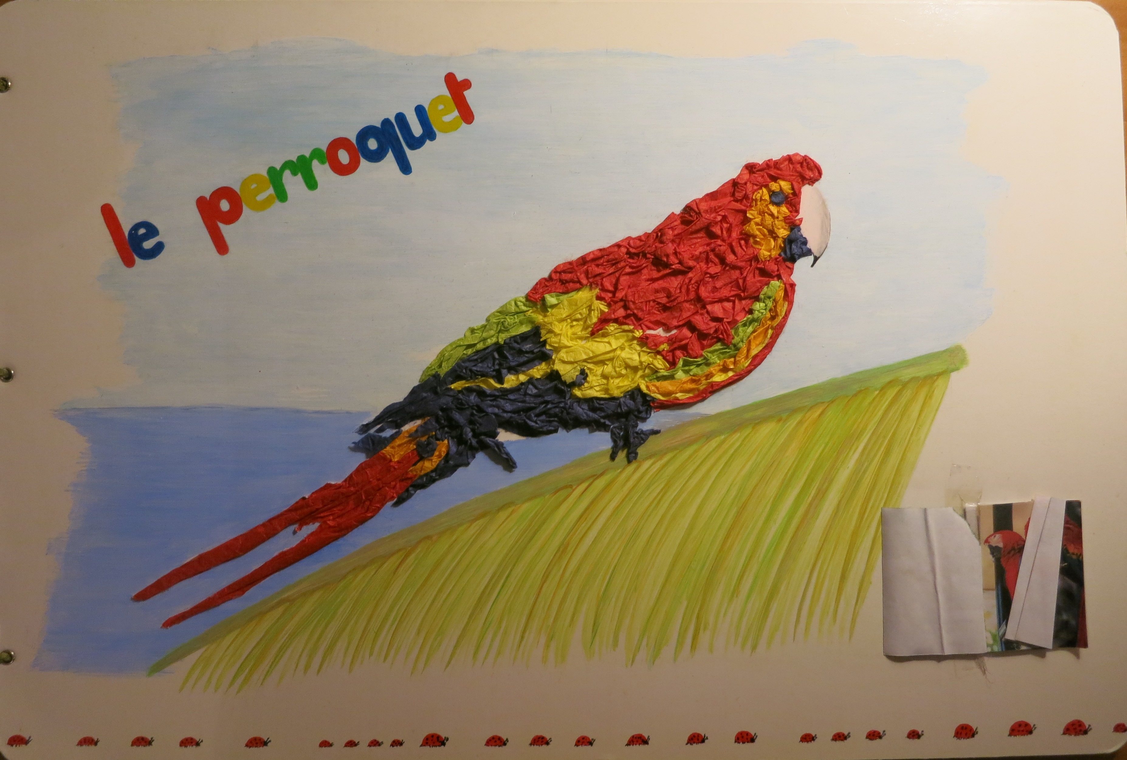Le perroquet est en papier de couleurs que j'ai chiffonné et collé. En bas a droite j'ai réalisé un petit carnet de différentes photos de perroquet. 
